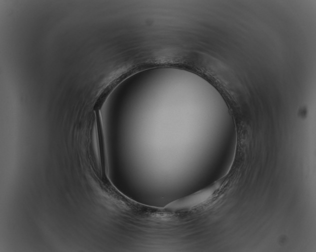 X0000095680164200801151133