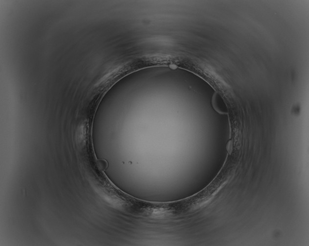 X0000095680165200801151133