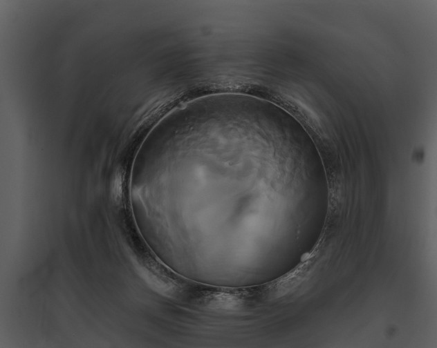 X0000095680166200801151133