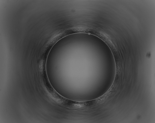 X0000095680167200801151133