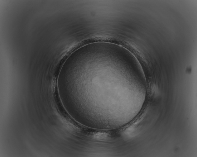 X0000095680168200801151133