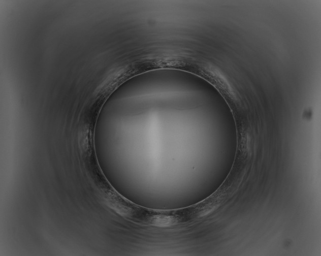 X0000095680169200801151133