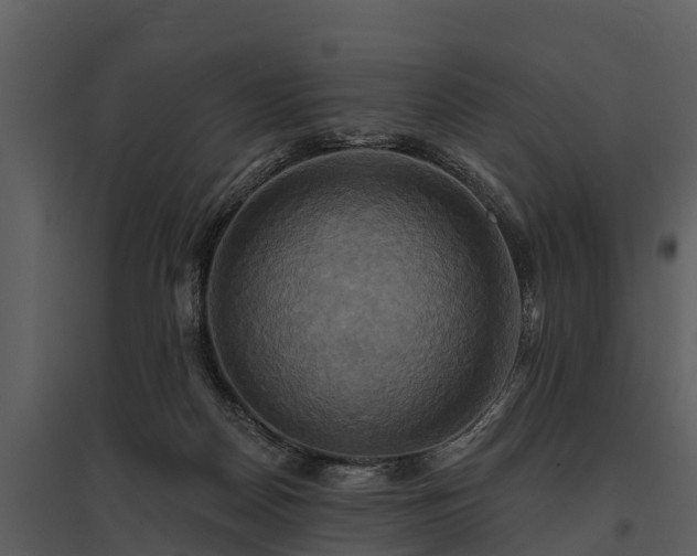 X0000095680170200801151133