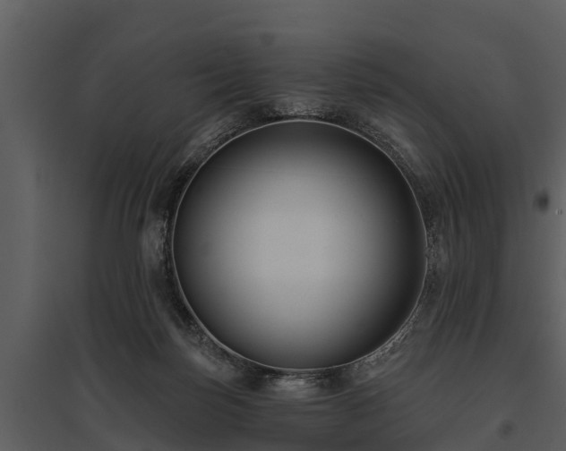 X0000095680171200801151133