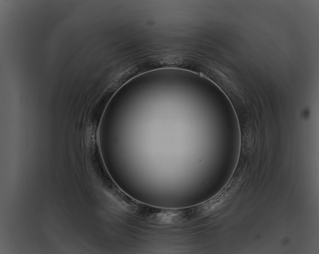 X0000095680172200801151134