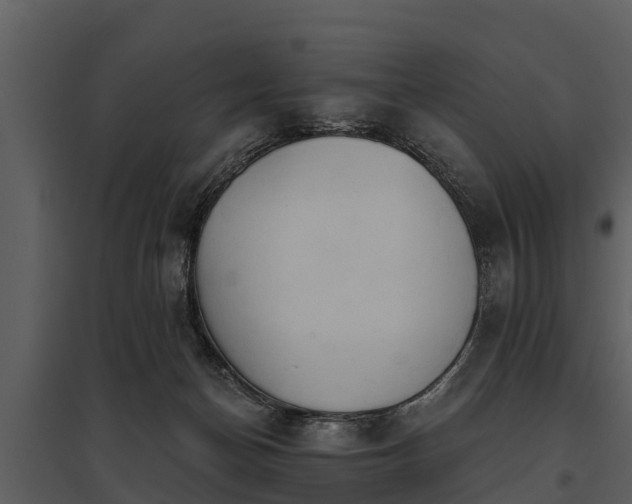 X0000095680174200801151134