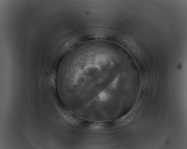 X0000095680175200801151134
