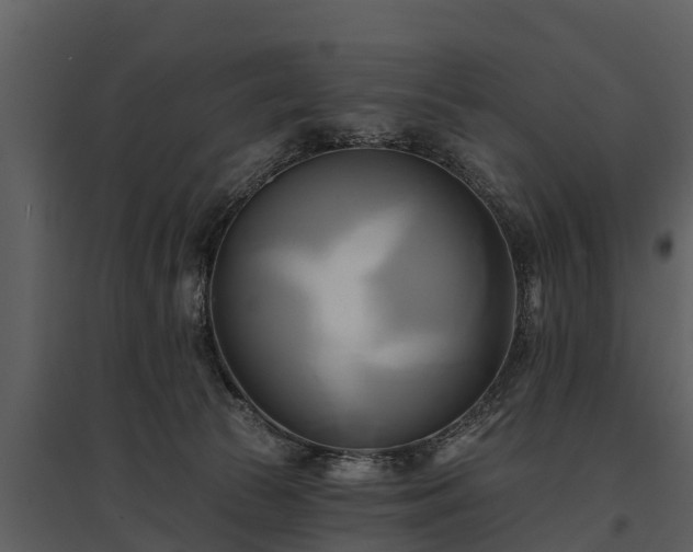 X0000095680177200801151134