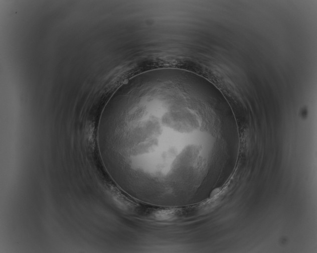 X0000095680178200801151134