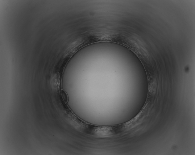 X0000095680179200801151134