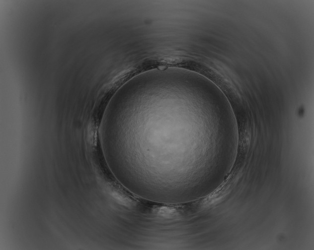 X0000095680180200801151134