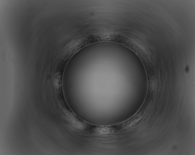 X0000095680181200801151134