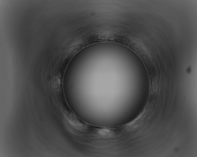 X0000095680183200801151134