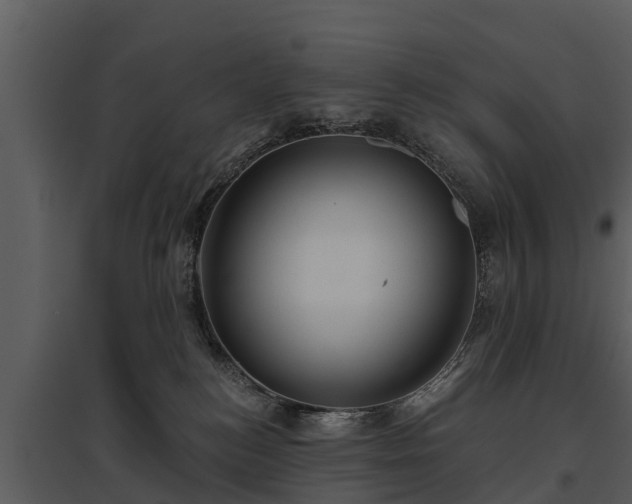 X0000095680184200801151134