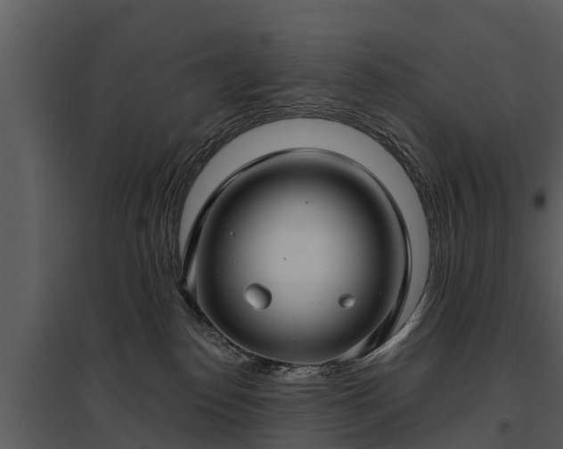 X0000095680186200801151134