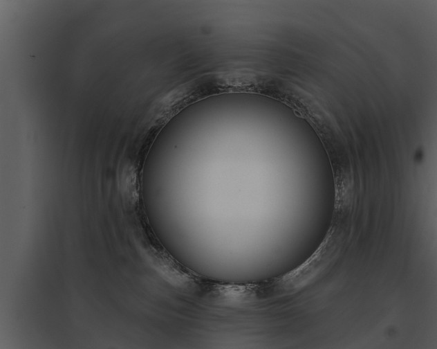 X0000095680187200801151134