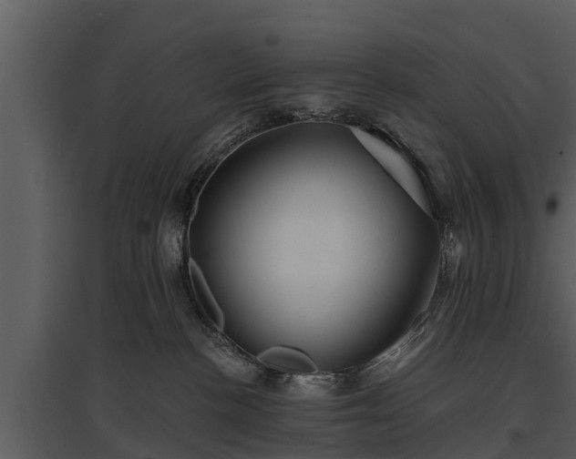 X0000095680188200801151134