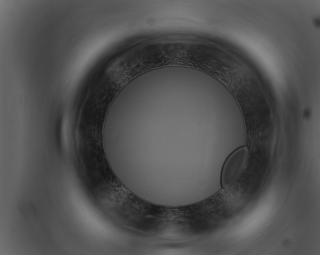X0000095680189200801151134