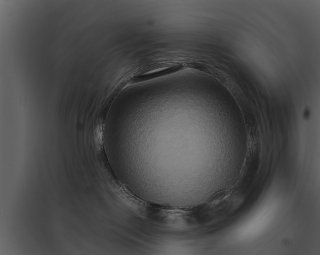 X0000095680190200801151134