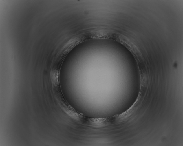 X0000095680191200801151134