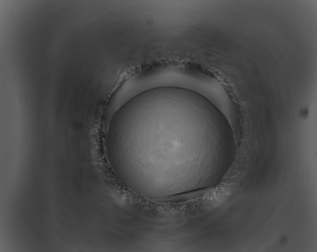 X0000095680192200801151134