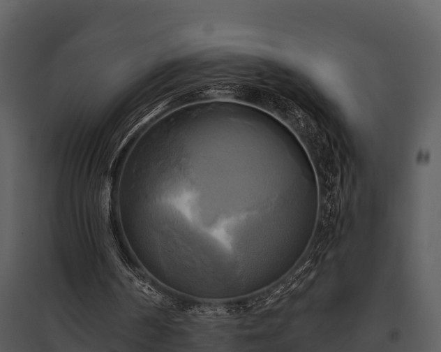 X0000095680194200801151133