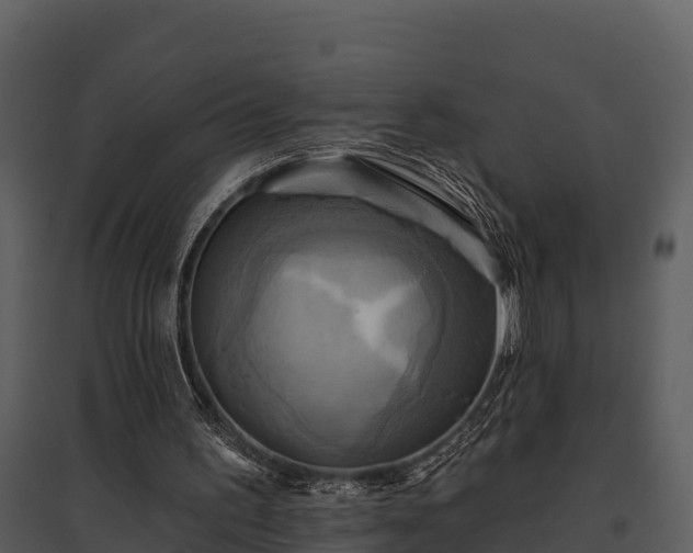 X0000095680195200801151133