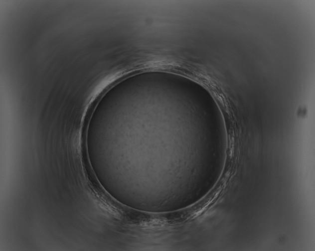 X0000095680196200801151133