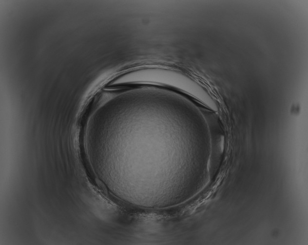 X0000095680197200801151133