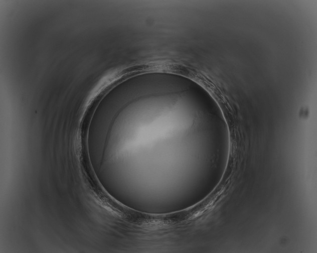 X0000095680198200801151133