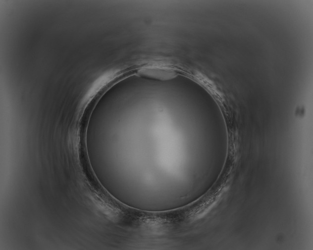 X0000095680199200801151133