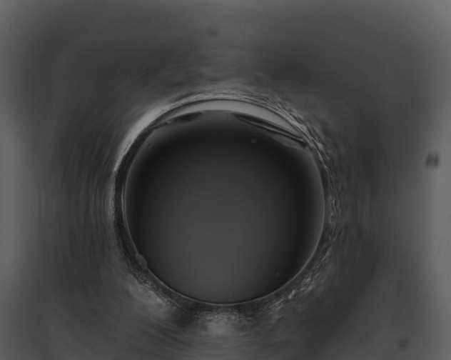 X0000095680200200801151133