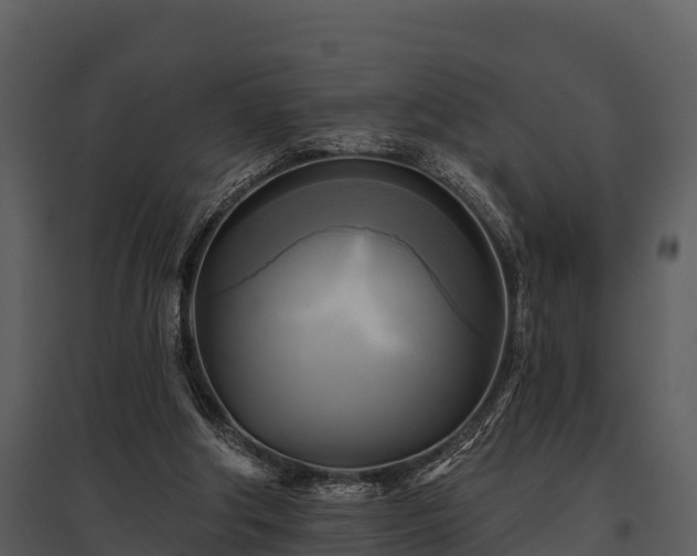 X0000095680202200801151133