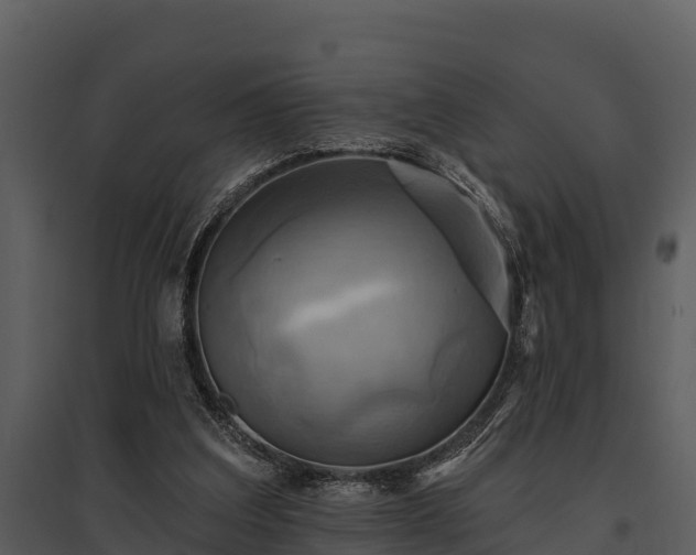 X0000095680203200801151133