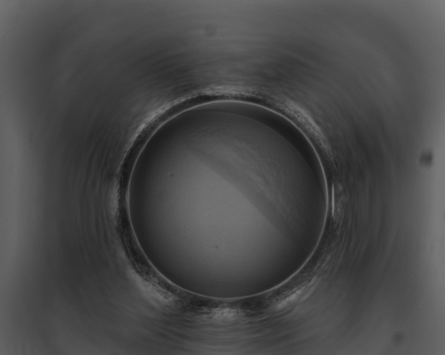 X0000095680204200801151133