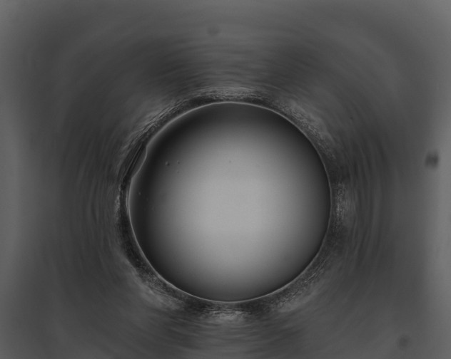 X0000095680206200801151133