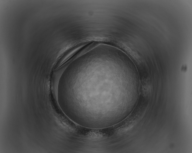 X0000095680207200801151133