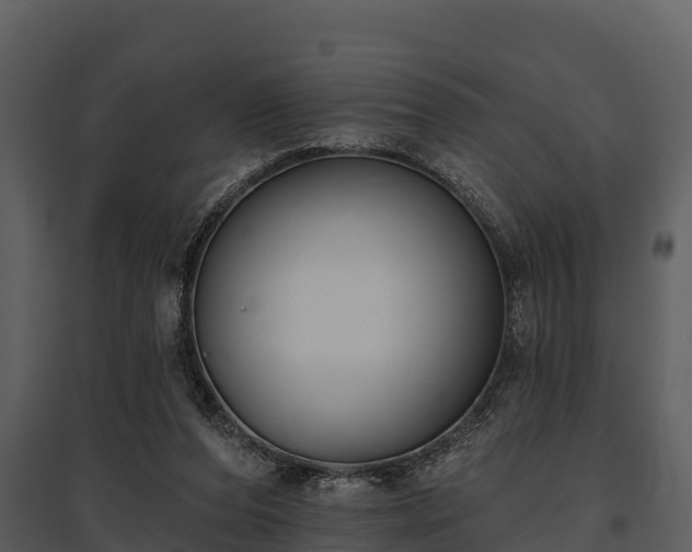 X0000095680208200801151133