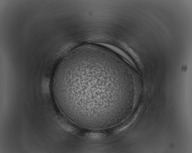 X0000095680209200801151133