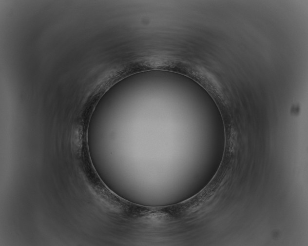 X0000095680210200801151133