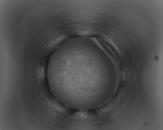 X0000095680211200801151133