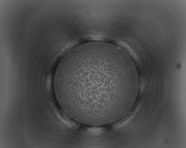 X0000095680213200801151133