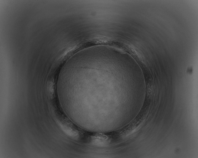 X0000095680215200801151133