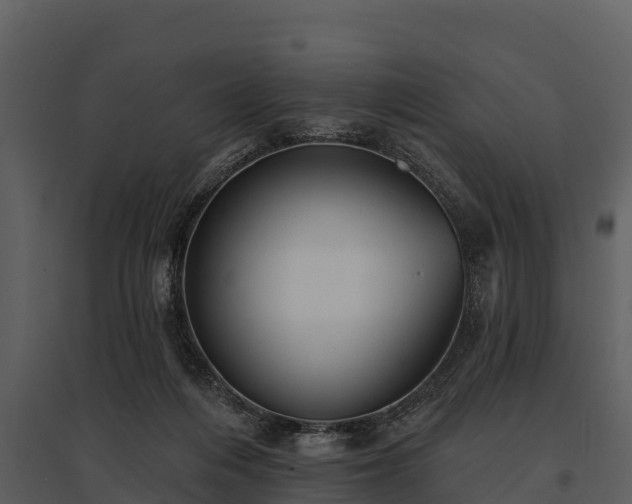 X0000095680216200801151133