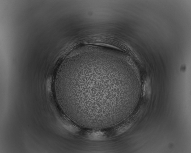 X0000095680217200801151133