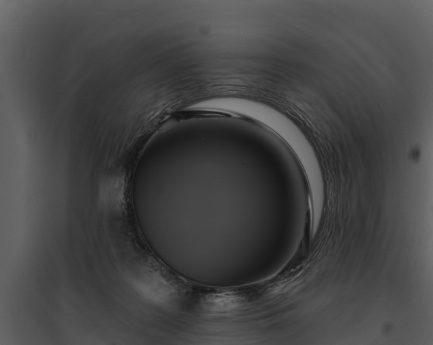 X0000095680219200801151133