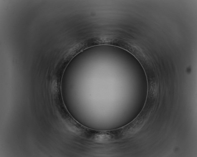 X0000095680220200801151133