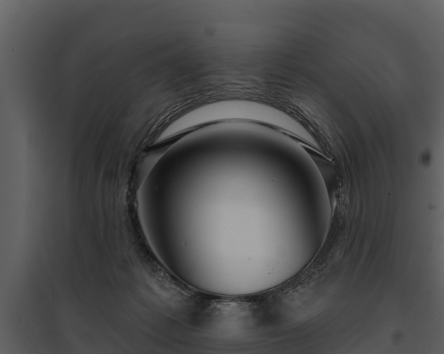 X0000095680221200801151133