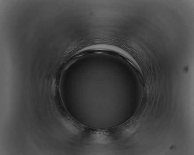 X0000095680223200801151133
