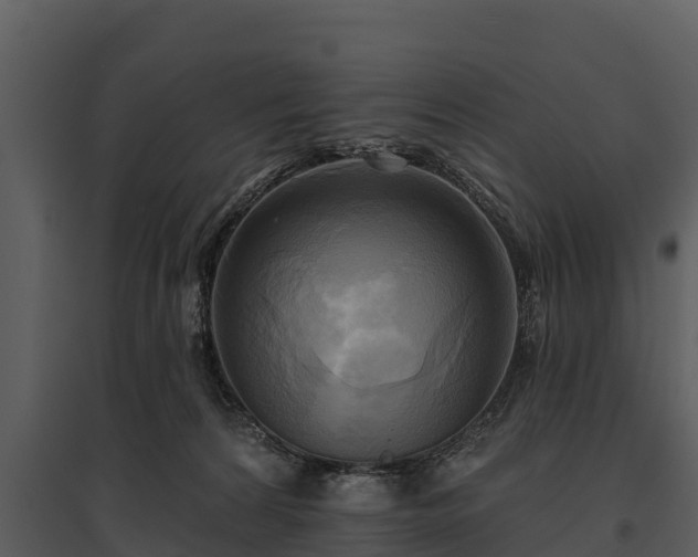 X0000095680224200801151133